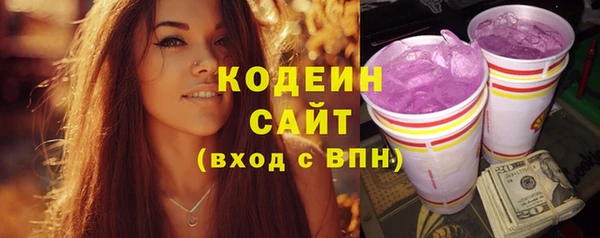 шишки Наволоки