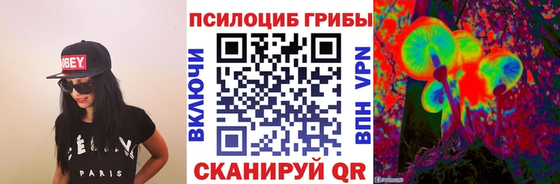 Псилоцибиновые грибы Psilocybine cubensis  купить наркотики цена  Реутов 