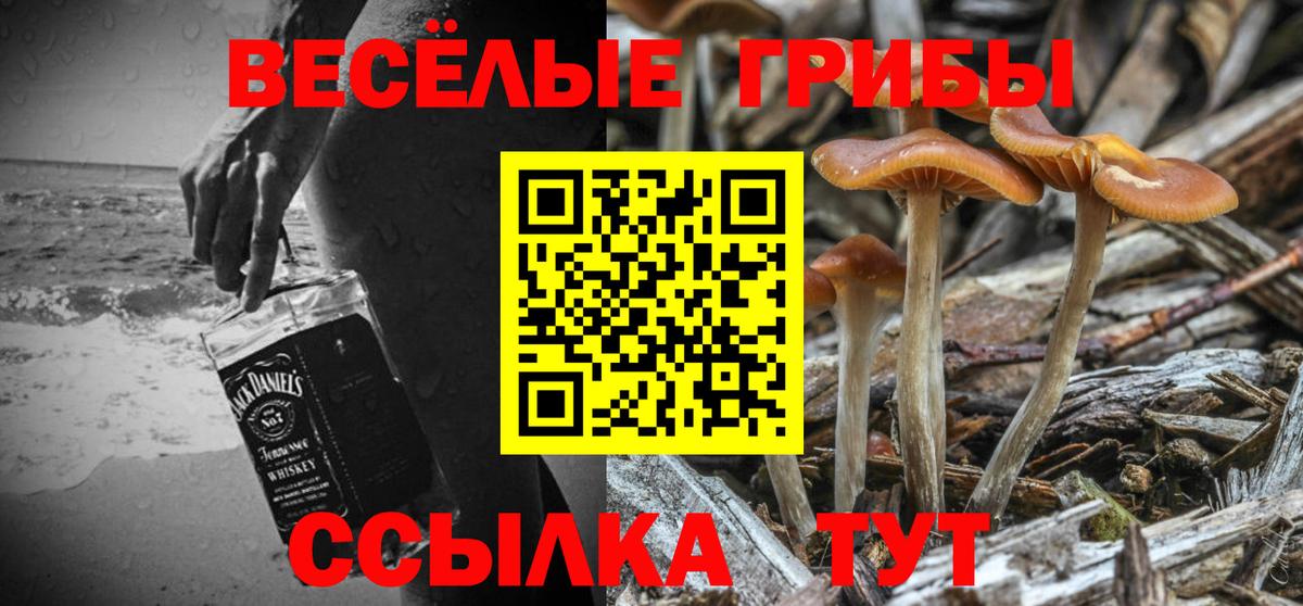 Псилоцибиновые грибы мухоморы  Вход с VPN  Реутов  Псилоцибиновые грибы Psilocybe 