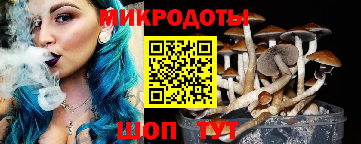 Псилоцибиновые грибы ЛСД Реутов